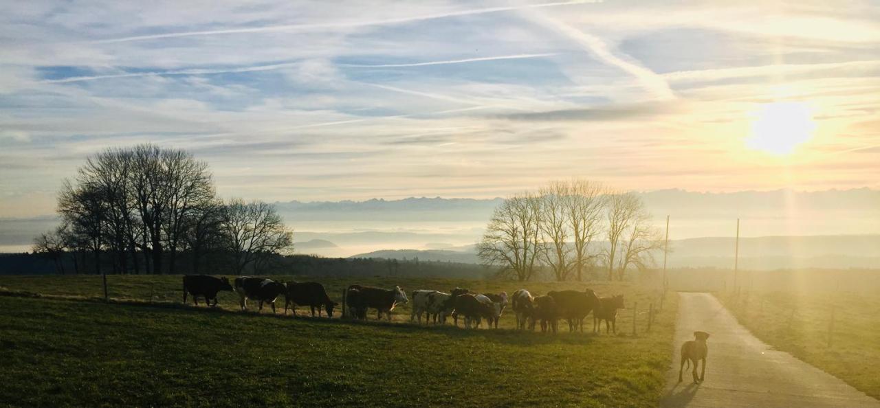 La Ferme de la Praz B&B Extérieur photo