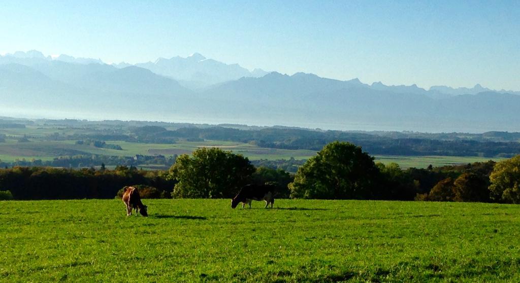 La Ferme de la Praz B&B Extérieur photo