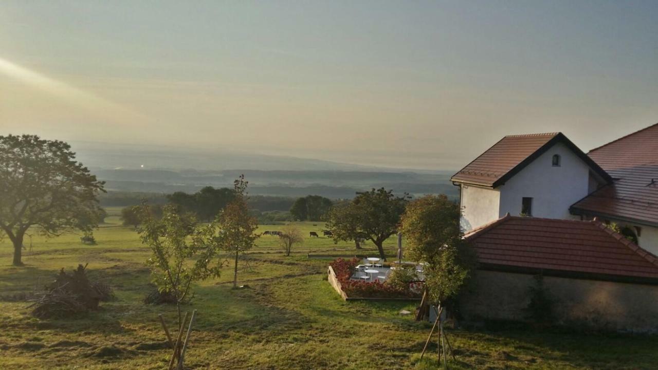 La Ferme de la Praz B&B Extérieur photo
